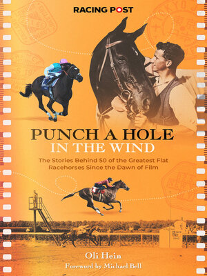 cover image of Punch a Hole in the Wind